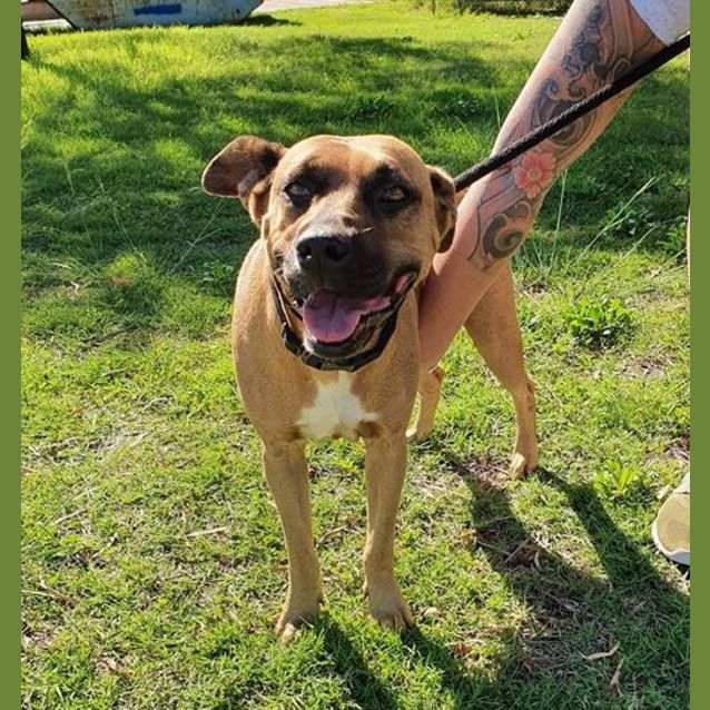 Photo of Geri Dl2421