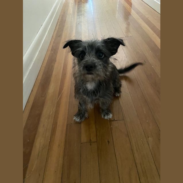 Photo of Prada
