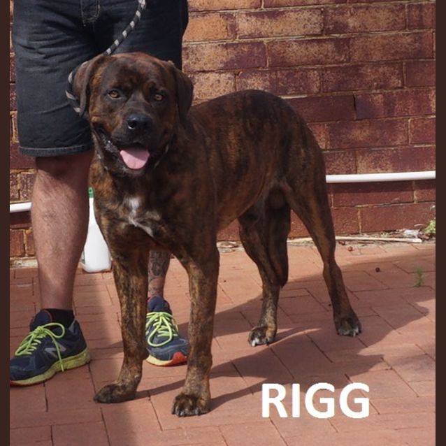 Photo of Rigg