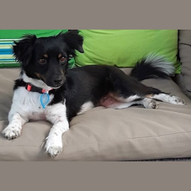 Photo of Jessie