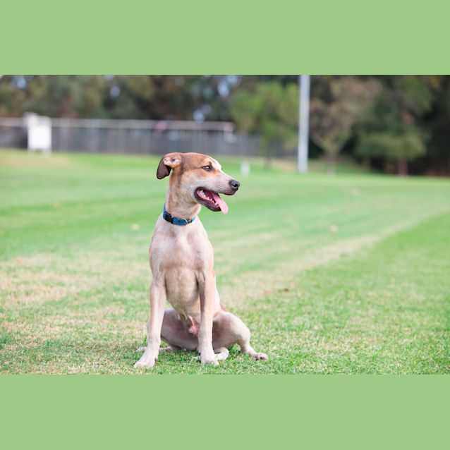 Photo of Arlo Dl2383