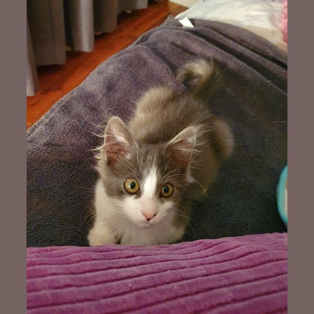 Photo of Snickers 🍫