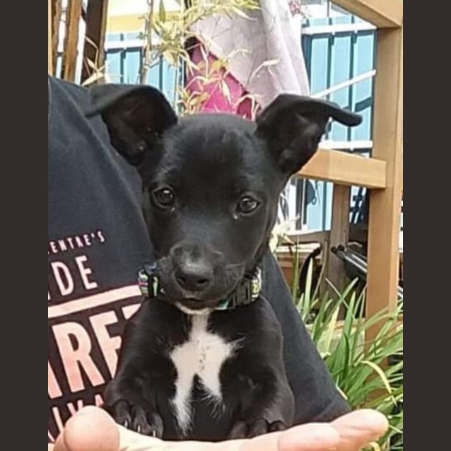 Photo of **On Trial** Milly