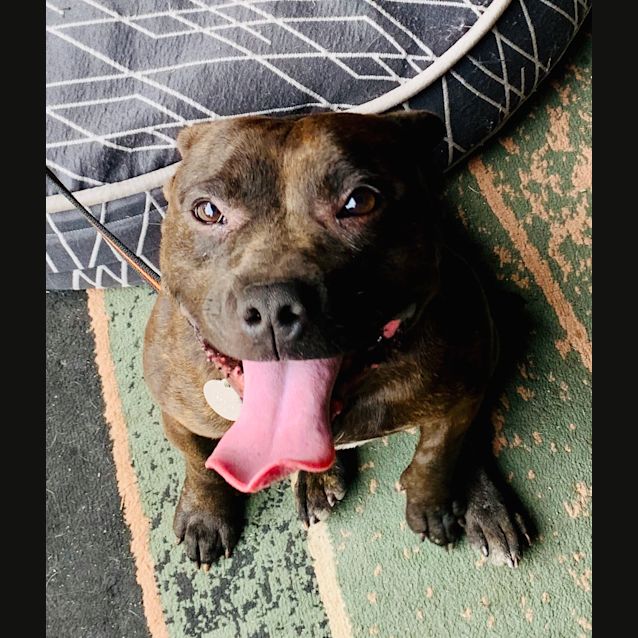 Photo of 🌺 Zena 🌺