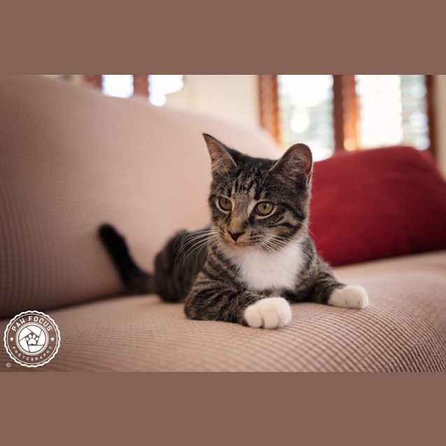 Photo of Juni