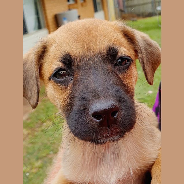 Photo of Bonnie