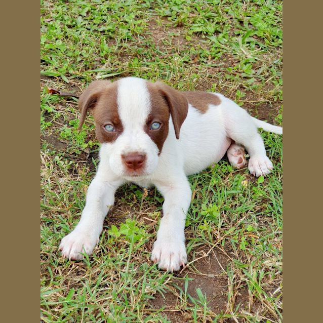 Photo of Benny