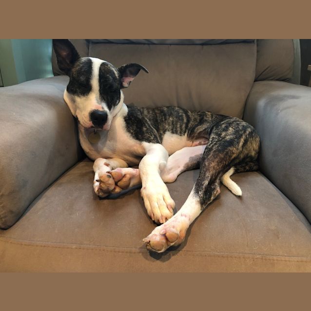Photo of Chi Chi