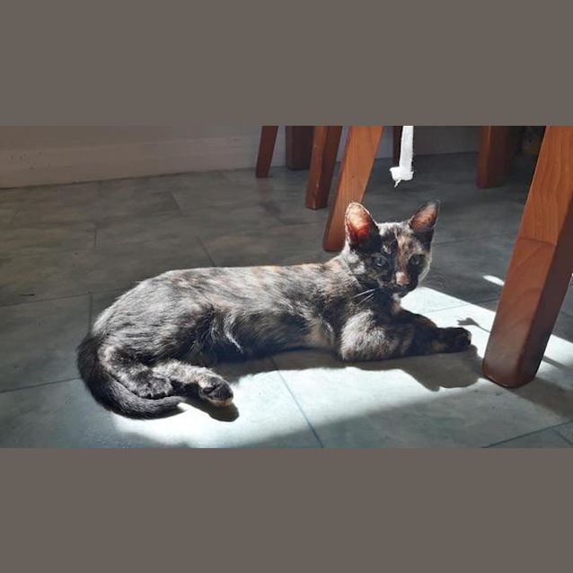 Photo of Tully