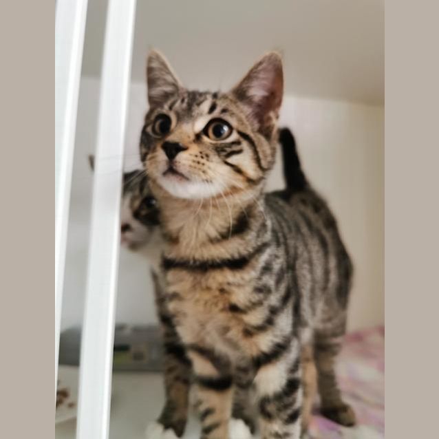 Photo of Marty