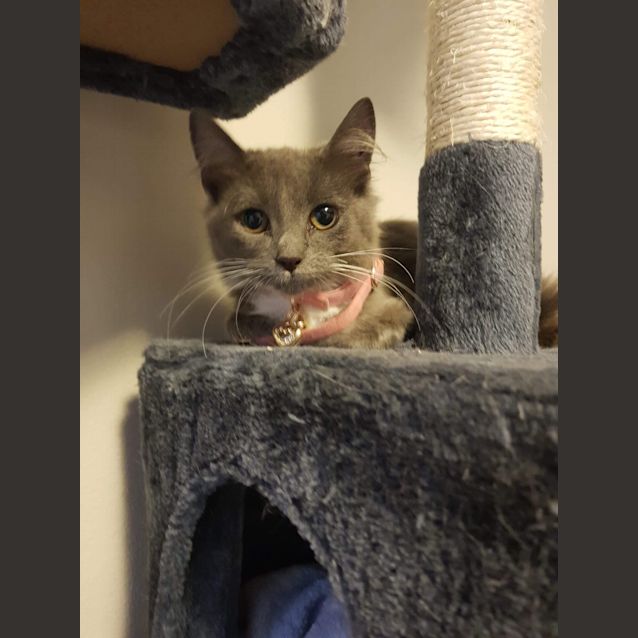 Photo of Xena 