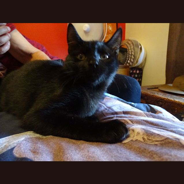Photo of Sammy