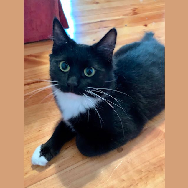 Photo of Addie
