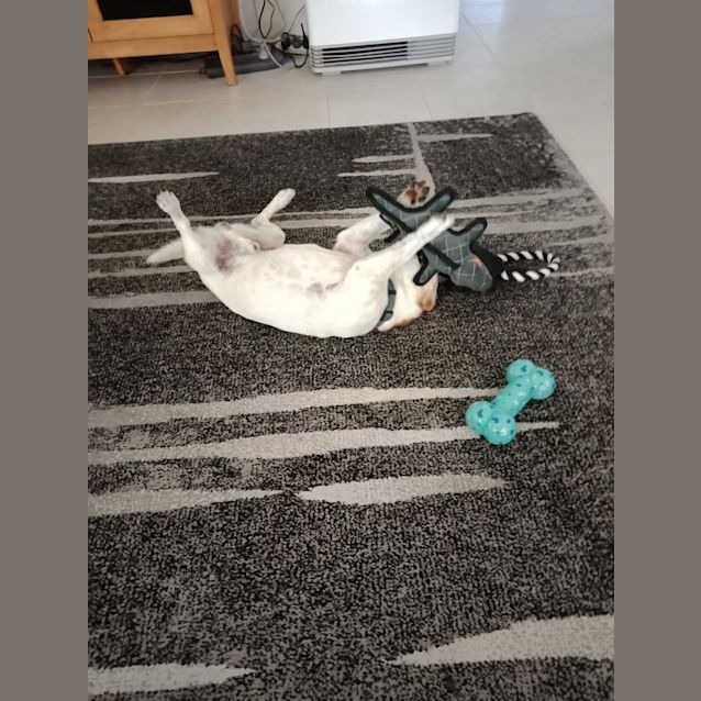 Photo of Charlie Dl2407