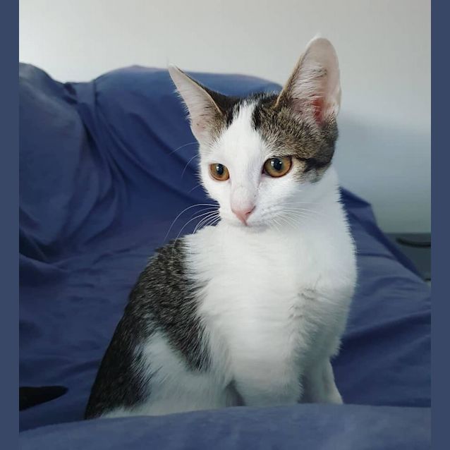 Photo of Winnie 