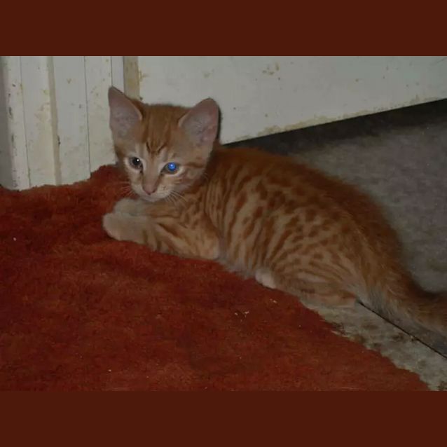 Photo of Roxy
