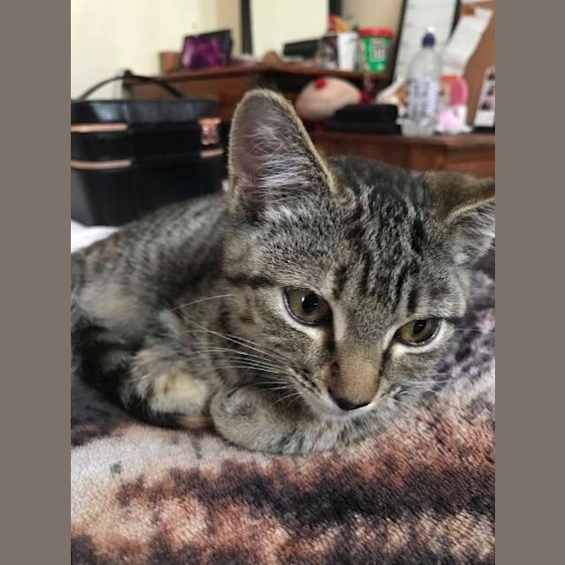 Photo of Evie