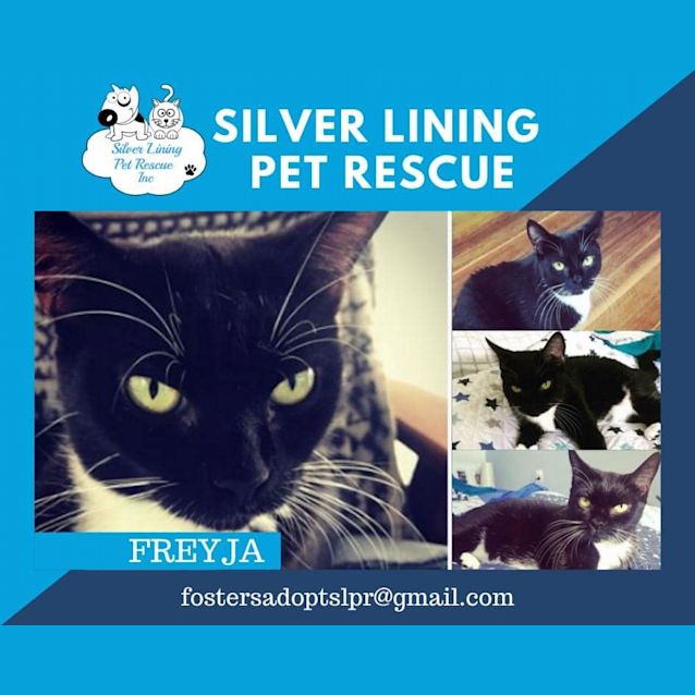 Photo of Freyja