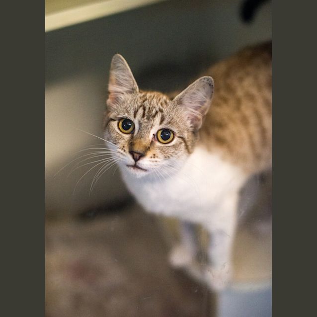 Photo of Hazel