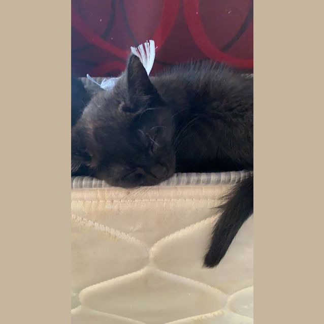 Photo of Artie