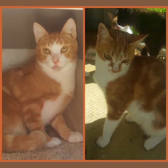 Photo of Opie & Lucy