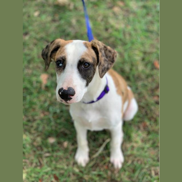 Photo of Matilda