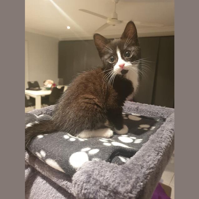 Photo of Minnie 🐭💓