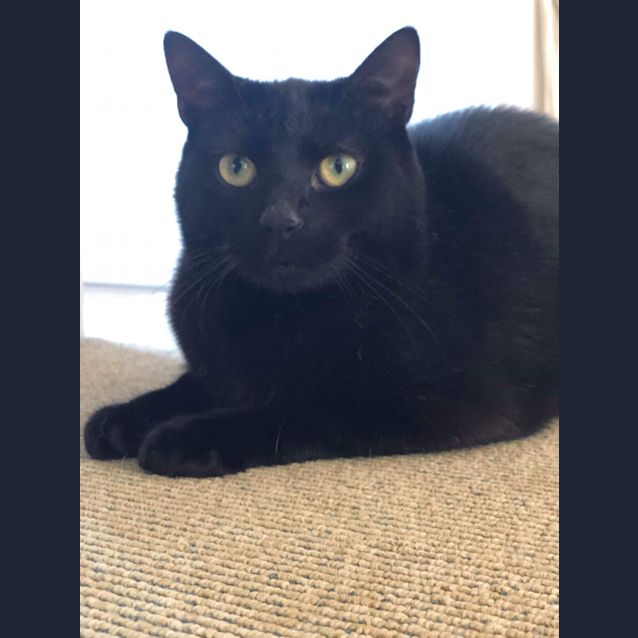 Photo of Maximus ❤