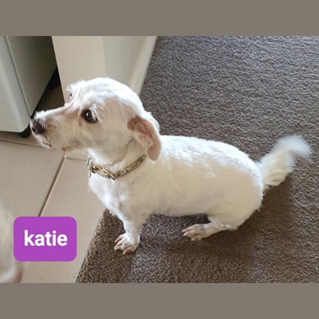 Photo of Molly & Katie