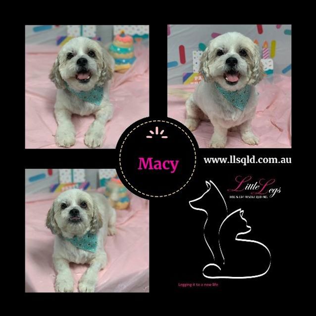 Photo of Macy