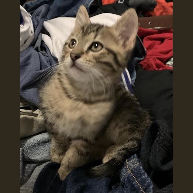 Photo of Marvin