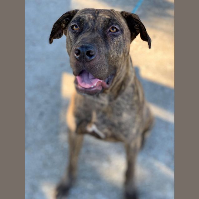 Photo of Sadie