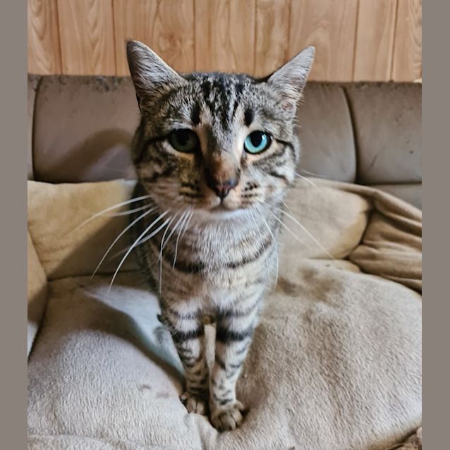 Photo of Nicola "Mummy"