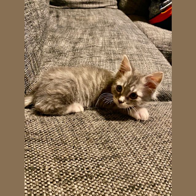 Photo of Mumma’s Boy 