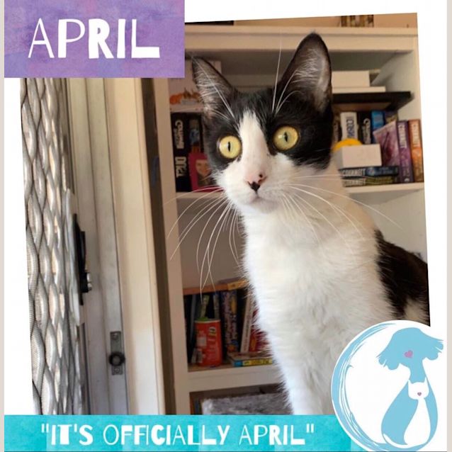 Photo of April