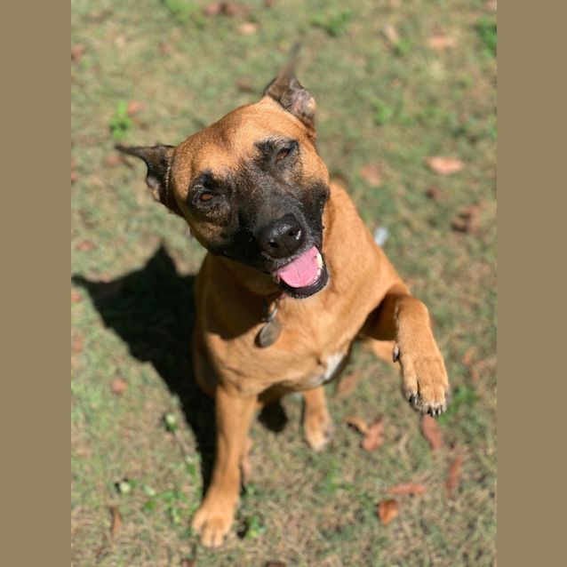 Photo of Phoebe