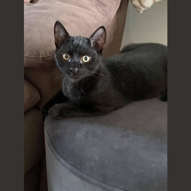Photo of Jude