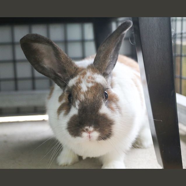 Photo of Maggie