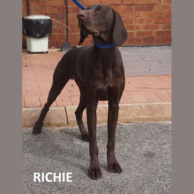 Photo of Richie
