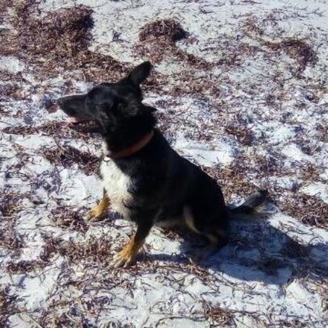 Photo of Lucy