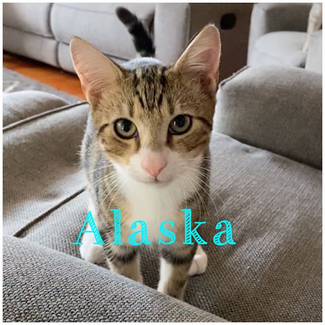 Photo of Alaska