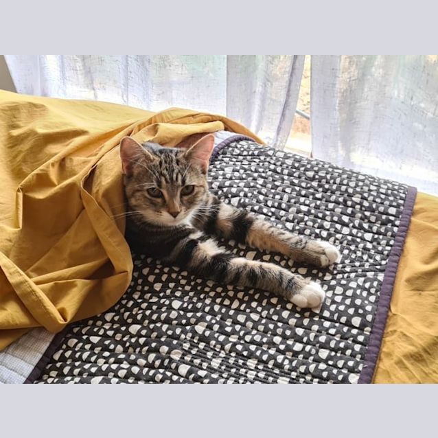Photo of Minie