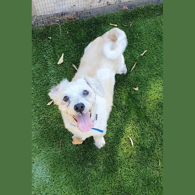 Photo of Alfred Dl2412 