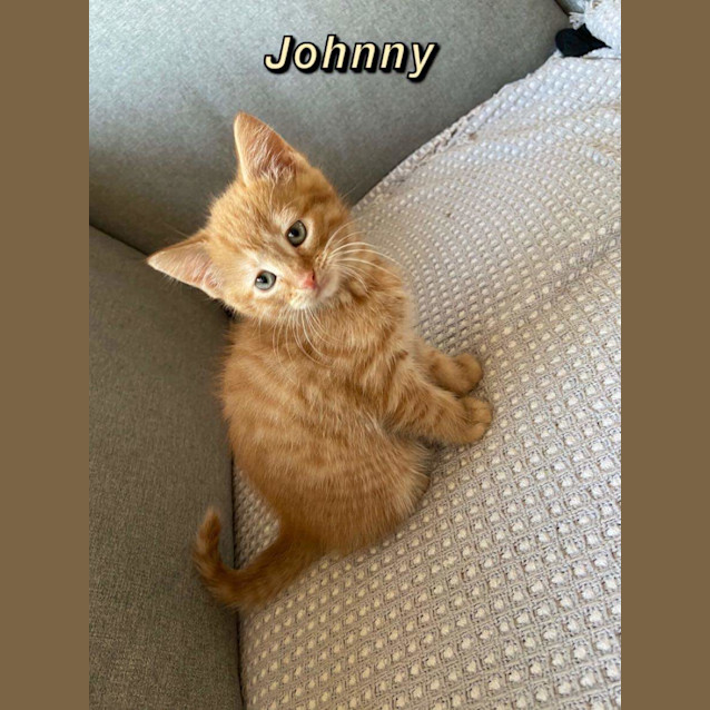 Photo of Johnny ❤