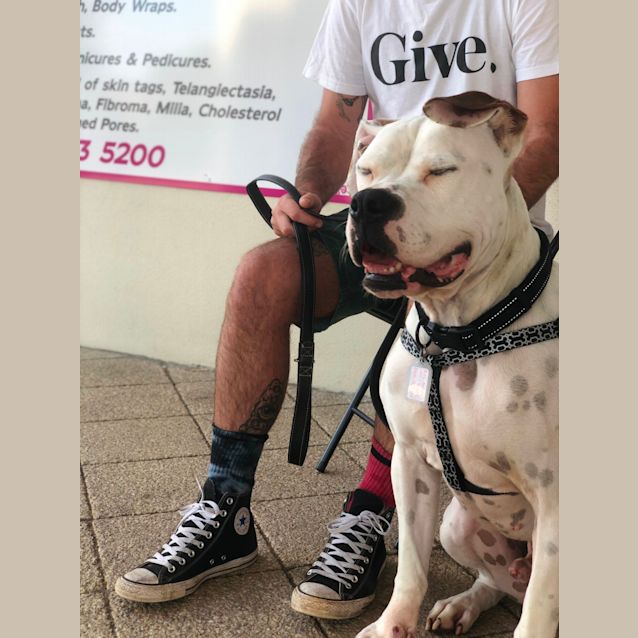 Photo of Dozer Dl2402