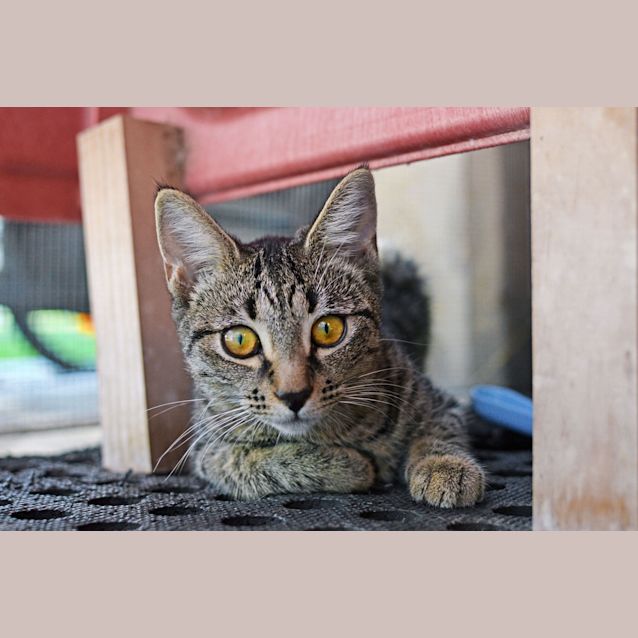 Photo of Junior