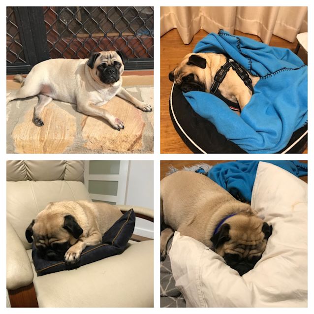 Photo of Handsome Boris