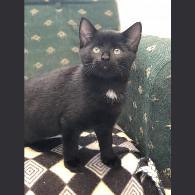 Photo of Nova