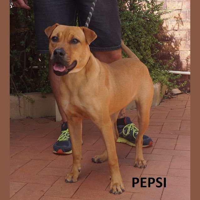 Photo of Pepsi