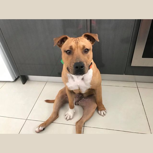 Photo of Cruiser Dl2434